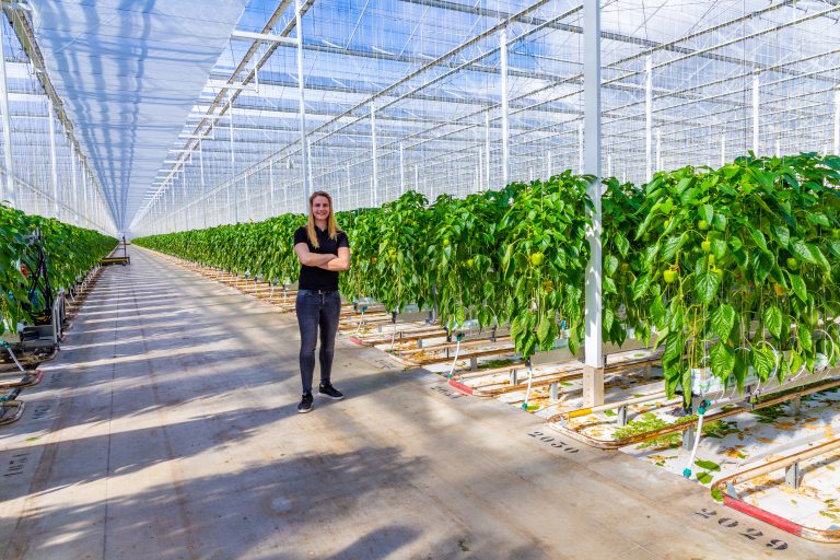 Commercieel Adviseur Tuinbouw – (Biologische) Gewasbescherming