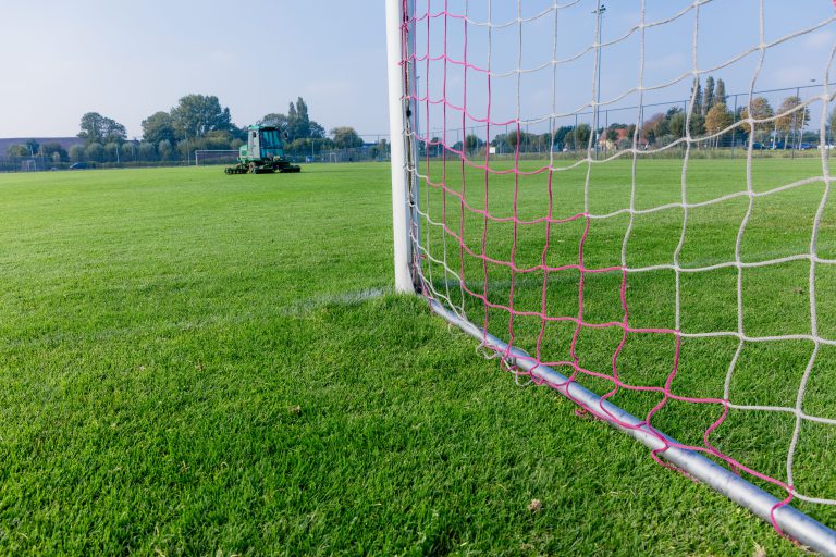 Adviseur Groenvoorziening